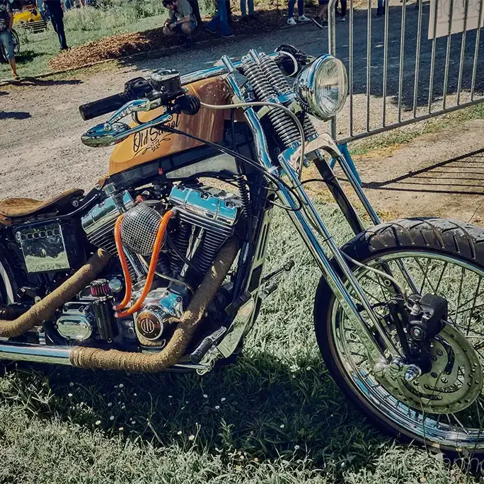 Les marques de motos les plus populaires incluent Ducati, Indian, Triumph, BMW, et Harley-Davidson.