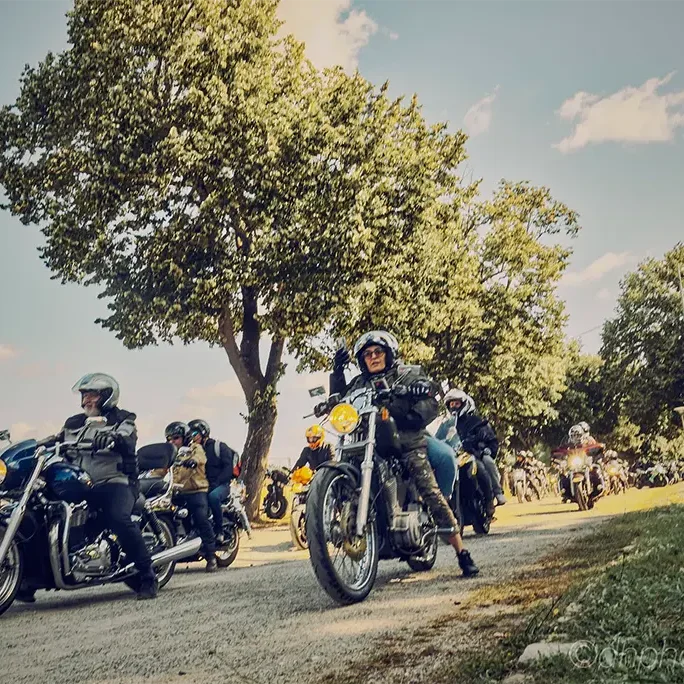 Les participants empruntent une variété de routes dans le département des Landes